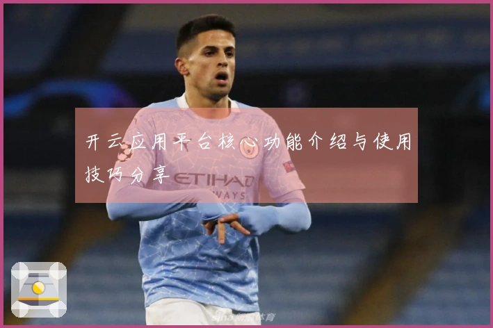 开云应用平台核心功能介绍与使用技巧分享